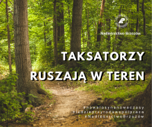 Taksatorzy ruszają w teren