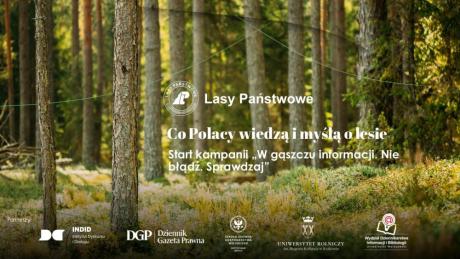 PBS DLA LASÓW PAŃSTWOWYCH: 21% POLAKÓW SĄDZI, ŻE DREWNO MOŻNA POZYSKAĆ NIE WYCINAJĄC DRZEW