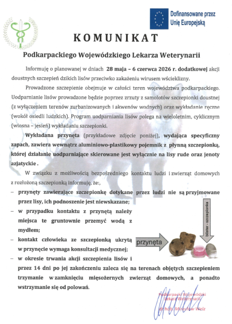Akcja szczepienia lisów